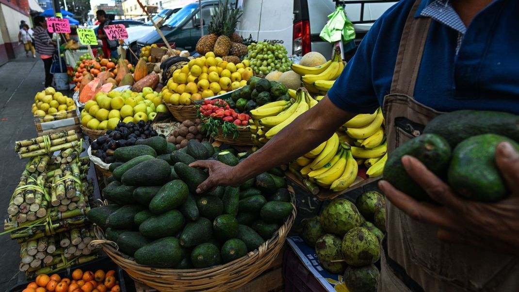 Im mexikanische Bundesstaat Michocán boomen das Geschäft mit Avocados und das blutige Geschäft der Kartelle gleichermaßen.