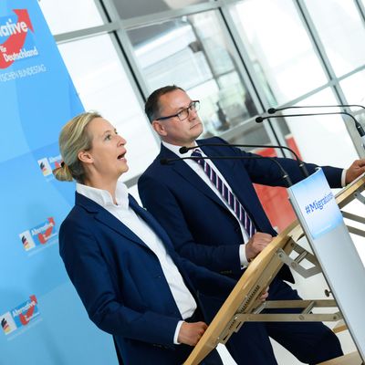 Die Vorsitzenden der AfD-Bundestagsfraktion, Weidel und Chrupalla