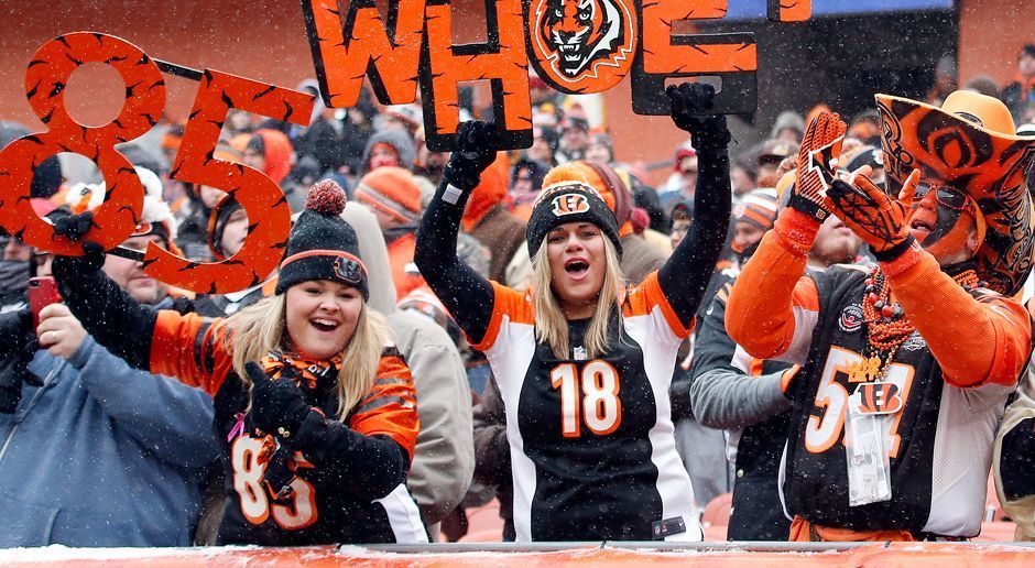 
                <strong>Platz 31: Cincinnati Bengals</strong><br>
                Platz 31: Cincinnati Bengals (Paul Brown Stadium - Kapazität: 65.790) mit 54.616 Fans pro Heimspiel (insgesamt 218.464 Zuschauer in vier Spielen.)
              