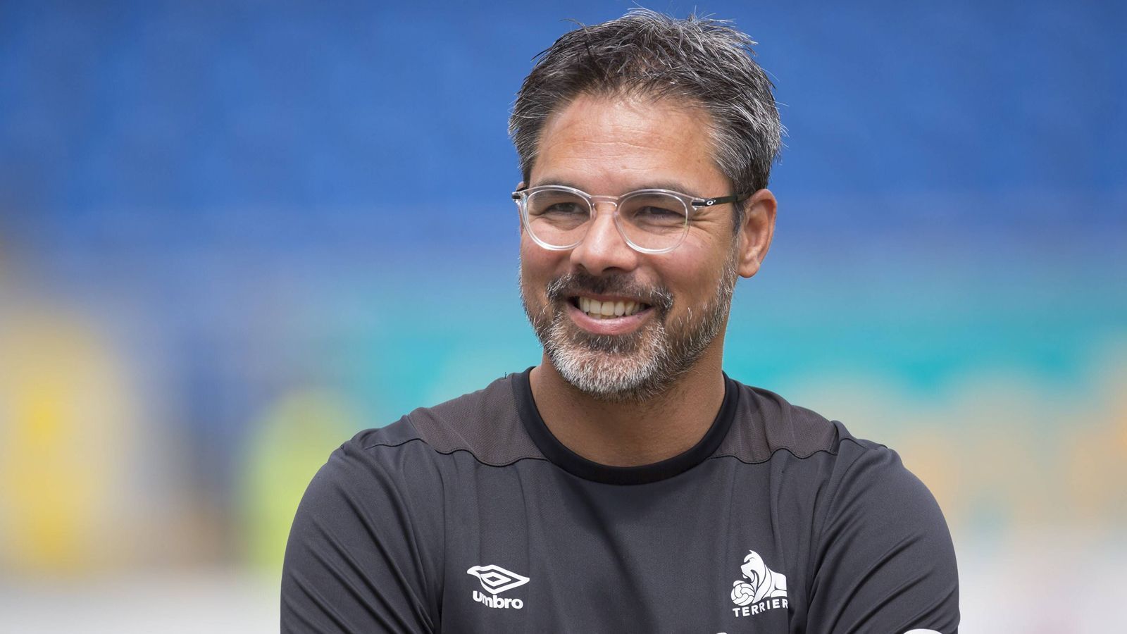 
                <strong>David Wagner</strong><br>
                7. David Wagner (FC Huddersfield), Quote: 17:1
              
