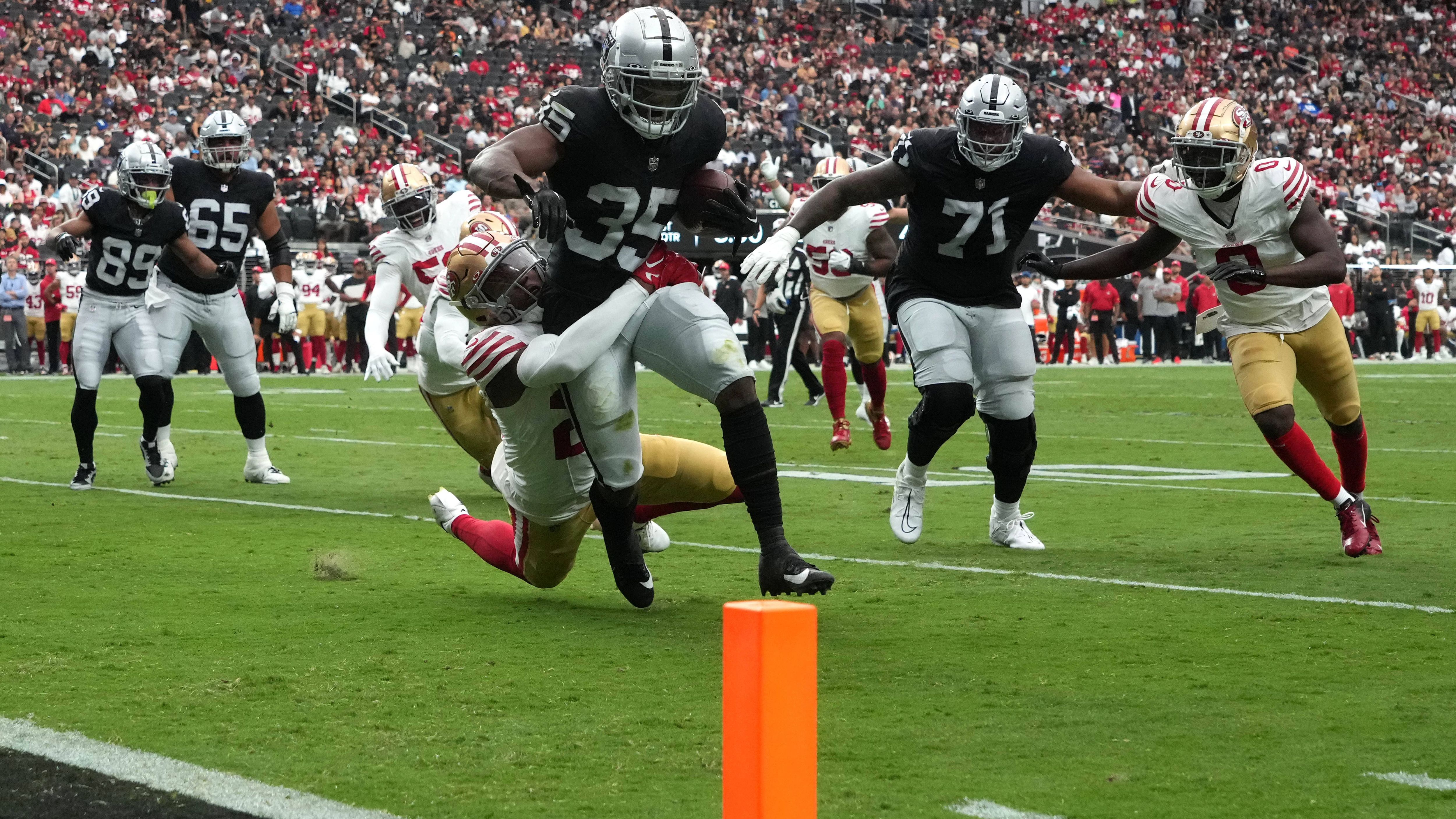 <strong>Las Vegas Raiders: Natürlicher Rasen</strong><br>Im Allegiant Stadium wird auf "Bermuda Grass" gespielt.