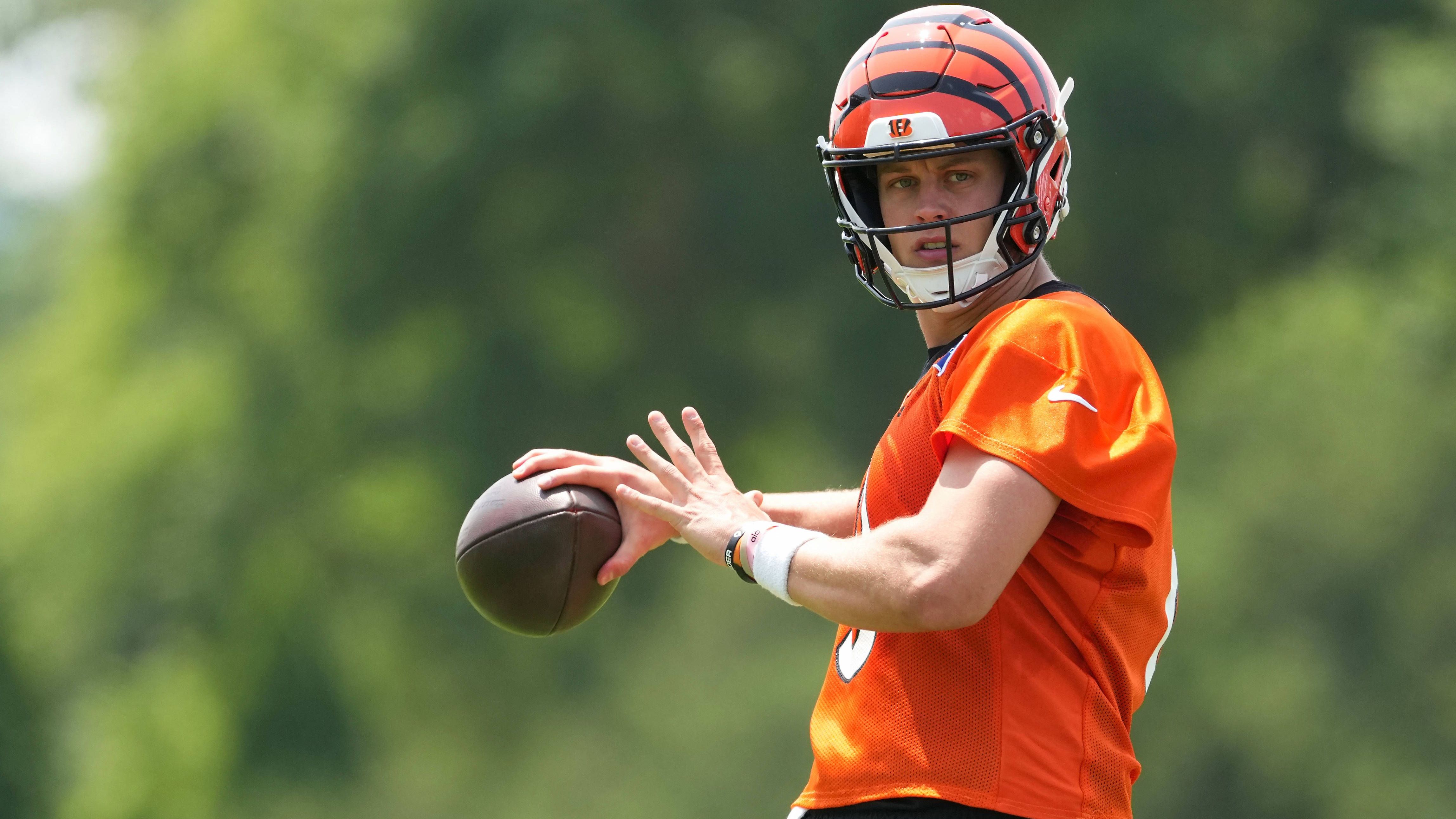 <strong>Platz 28: Cincinnati Bengals</strong><br>TV-Haushalte: 0,926 Millionen<br>Markt: Cincinnati