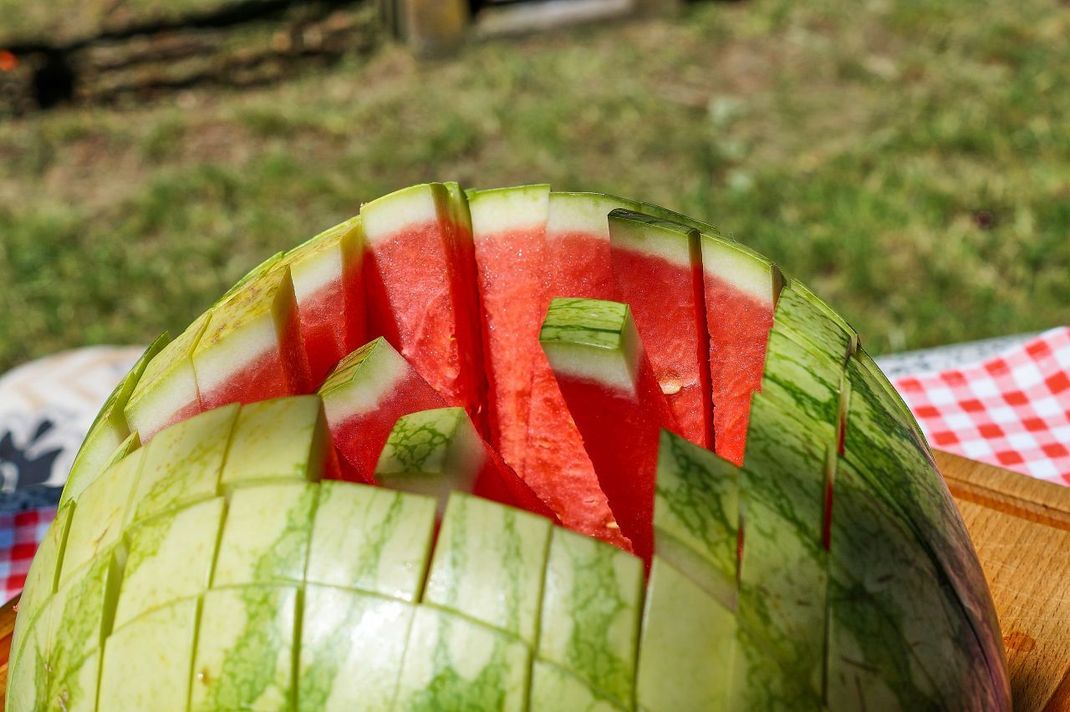 So sieht's fertig aus. Die einzelnen Melonen-Stifte kannst du einfach rausziehen.