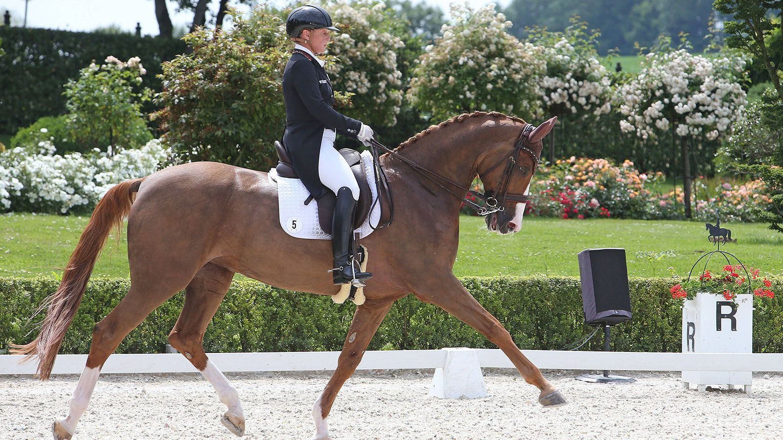 
                <strong>Isabell Werth (Reiten)</strong><br>
                Im Dressur-Viereck zählt Werth zu den Topfavoritinnen und würde wohl nur zu gern eine weitere Olympia-Medaille ihren Trophäen hinzufügen.
              