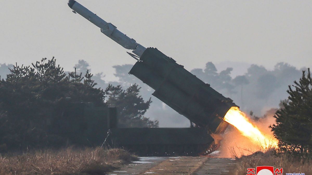 Südkoreas Militär berichtet, dass Nordkorea erneut Raketen abgefeuert hat.