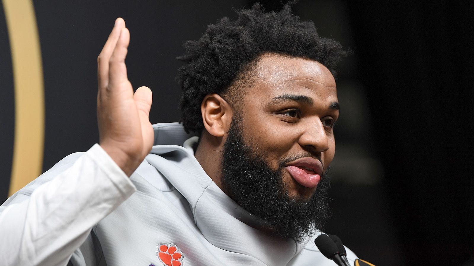 
                <strong>Christian Wilkins</strong><br>
                Position: Defensive TackleCollege: Clemson
              