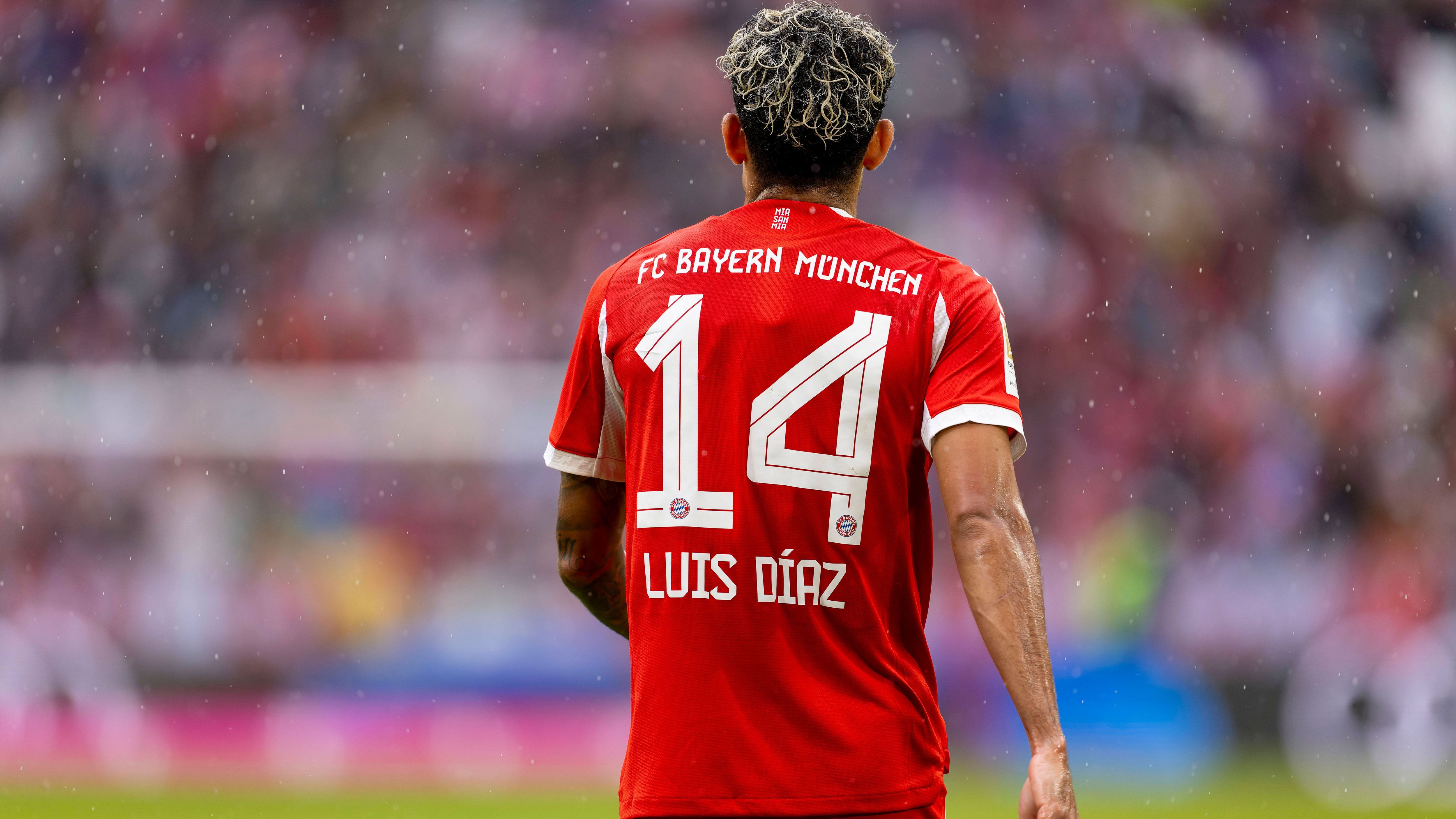 <strong>FC Bayern München</strong><br><em><strong>Zugänge:<br></strong></em>Luis Diaz (FC Liverpool, Ablöse: 70 Mio. Euro)<br>Jonathan Tah (Bayer Leverkusen, Ablöse: 2 Mio. Euro)<br>Tom Bischof (TSG Hoffenheim, Ablöse: 300.000 Euro)<br><br><strong><em>Abgänge:</em></strong><br>Mathys Tel (Tottenham Hotspur, Ablöse: 35 Mio. Euro)<br>Adam Aznou (FC Everton, Ablöse: 9 Mio. Euro)<br>Frans Krätzig (RB Salzburg, Ablöse: 3,5 Mio. Euro)<br>Gabriel Vidovic (Dinamo Zagreb, Ablöse: 1,2 Mio. Euro)<br>Joao Palhinha (Tottenham, Leihgebühr: 5 Mio. Euro)<br>Bryan Zaragoza (Celta Vigo, Leihgebühr: 1 Mio. Euro)<br>Daniel Peretz (Hamburger SV, Leihgebühr: 250.000 Euro)<br>Arijon Ibrahimovic (1. FC Heidenheim, Leihe)<br>Maurice Krattenmacher (Hertha BSC, Leihe)<br>Tarek Buchmann (1.FC Nürnberg, Leihe)<br>Lovro Zvonarek (Grasshoppers Zürich, Leihe)<br>Eric Dier (AS Monaco, ablösefrei)<br>Leroy Sane (Galatasaray Istanbul, ablösefrei)<br>Thomas Müller (vereinslos, ablösefrei)
