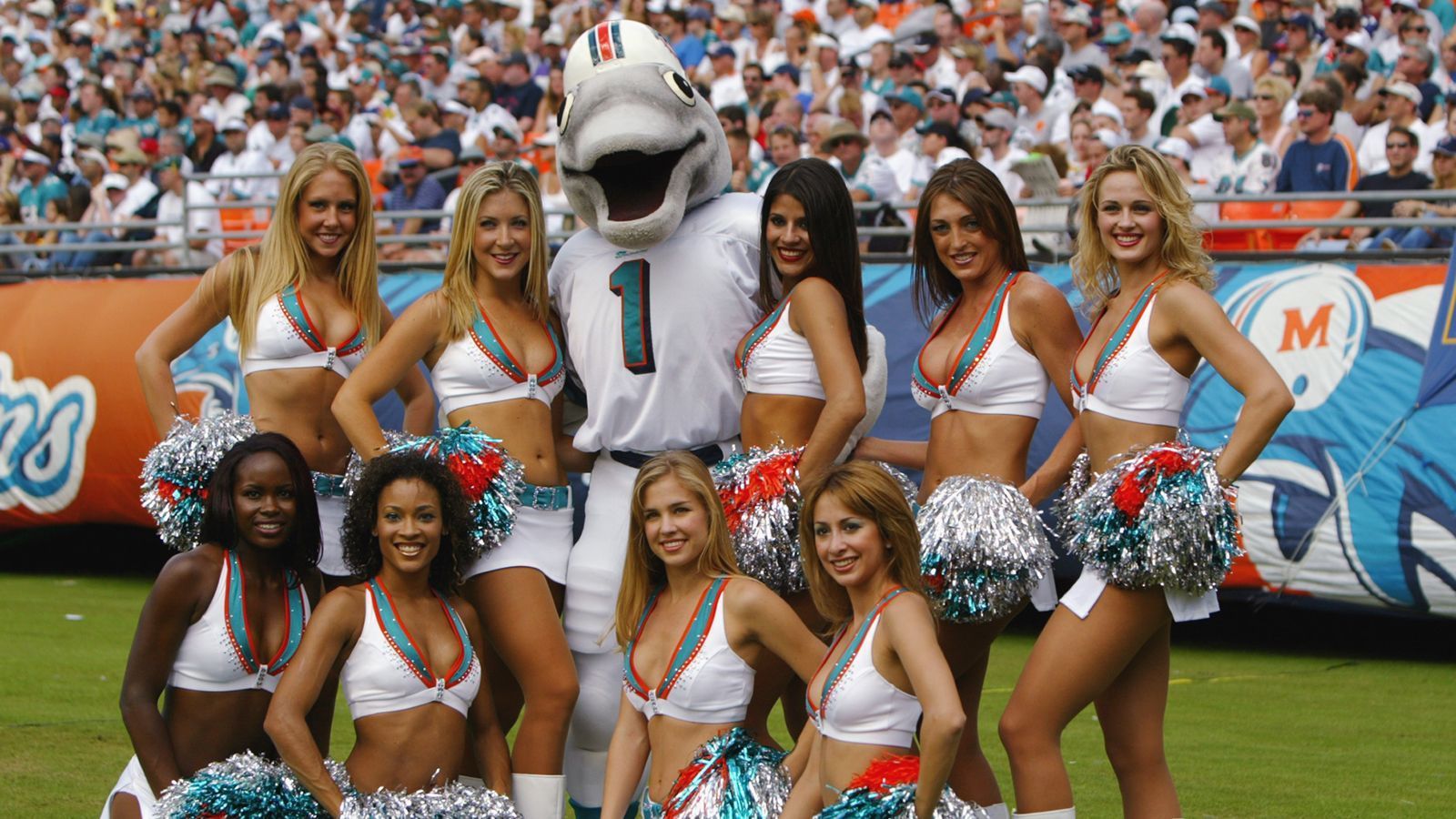 
                <strong>Miami Dolphins: T.D.</strong><br>
                T.D. heißt der Delfin aus Miami, die Abkürzung steht für Touchdown. T.D. wurde 2005 eine große Ehre zuteil, als der Delfin an der Parade am chinesischen Neujahrstag in Hong Kong teilnehmen durfte.
              