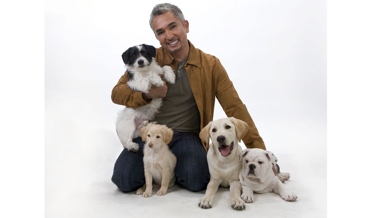 Cesar Millan Live