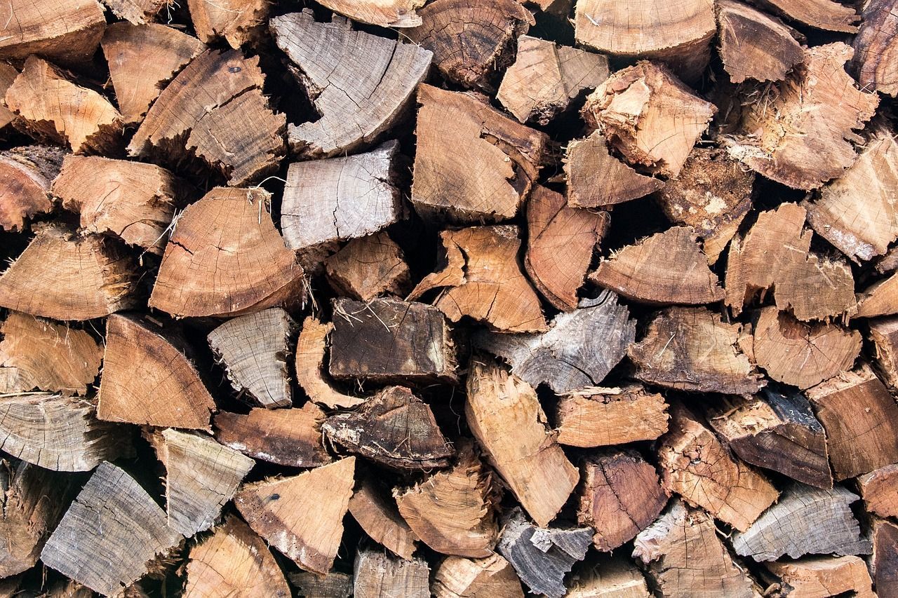 Witterungsbeständiges Holz Vorteile & Tipps SAT.1 Ratgeber