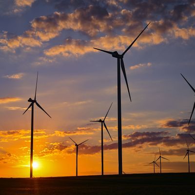 Farbenprächtig leuchtet der Himmel bei Sonnenuntergang hinter dem Windenergiepark «Odervorland».