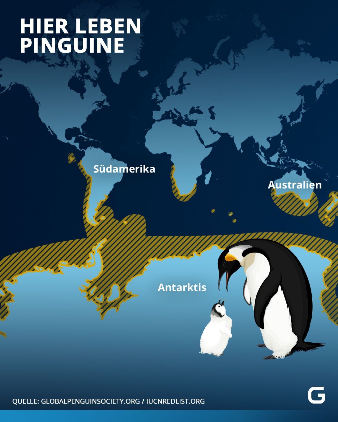 In diesen Gebieten der Erde leben Pinguine.
