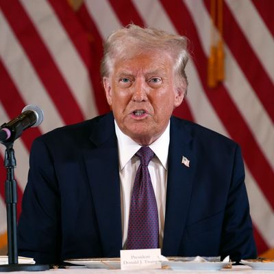 Designierter US-Präsident Trump