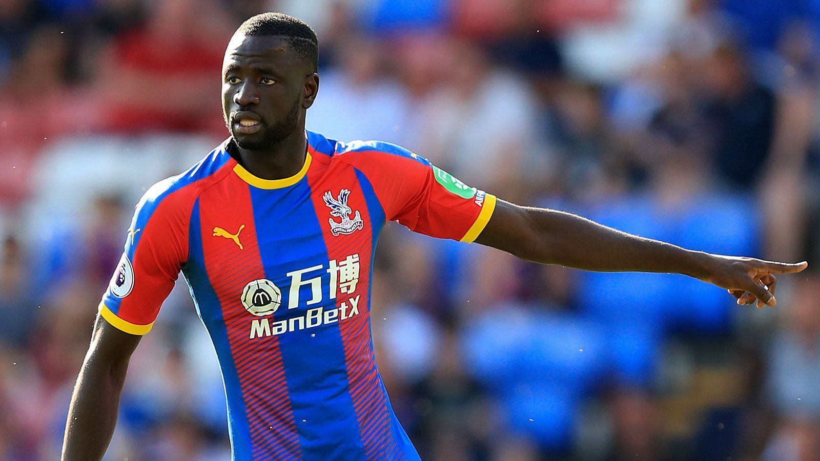 
                <strong>Crystal Palace</strong><br>
                Ausgaben: 10,7 Millionen EuroEinnahmen: - Teuerster Zugang: Cheikhou Kouyate (West Ham United/10,7 Millionen Euro)
              