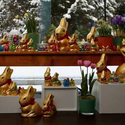 SWISS-LINDT/