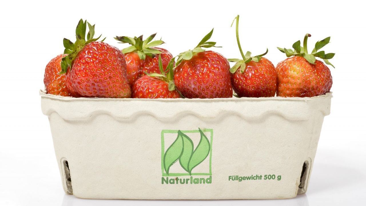 Naturland: Der Anbau-Verband will weltweit 100 Prozent ökologische und faire Landwirtschaft einführen. Er legt auch auf ökologische Wald-Nutzung und Aqua-Kulturen wert. BUND-Urteil: sehr empfehlenswert - hohe Öko-Standards der deutschen Anbau-Verbände.