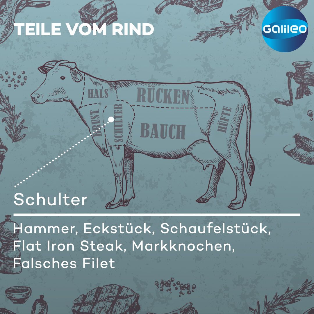 Teile vom Rind: Welcher Cut wird aus welchem Fleischteil gewonnen? 