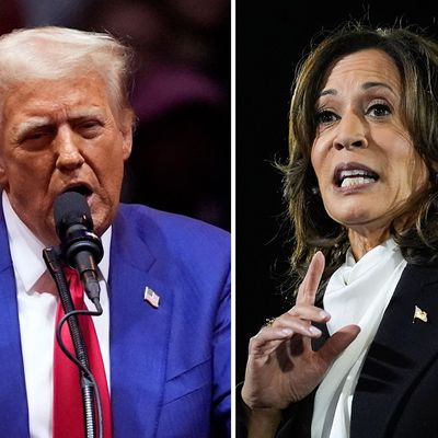 Wahlkampf in den USA - Trump Harris