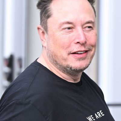 Elon Musk, Chef von X, ehemals Twitter