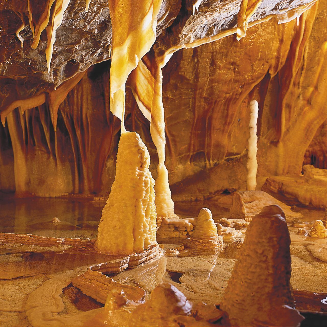 Steinbruch-Arbeiter stießen 1907 bei Sprengungen auf die Höhle in Attendorn (Sauerland). Durch einen freigelegten Felsspalt blickten sie in ein Labyrinth mit kunstvollen Stalagmiten (vom Boden emporwachsend) und Stalaktiten (von der Decke hängend). Heute zählt die 6.670 Meter lange Atta-Höhle zu den größten begehbaren Tropfstein-Höhlen Deutschlands - etwa 1.800 Meter sind für Besucher:innen zugänglich. Führungen finden ganzjä