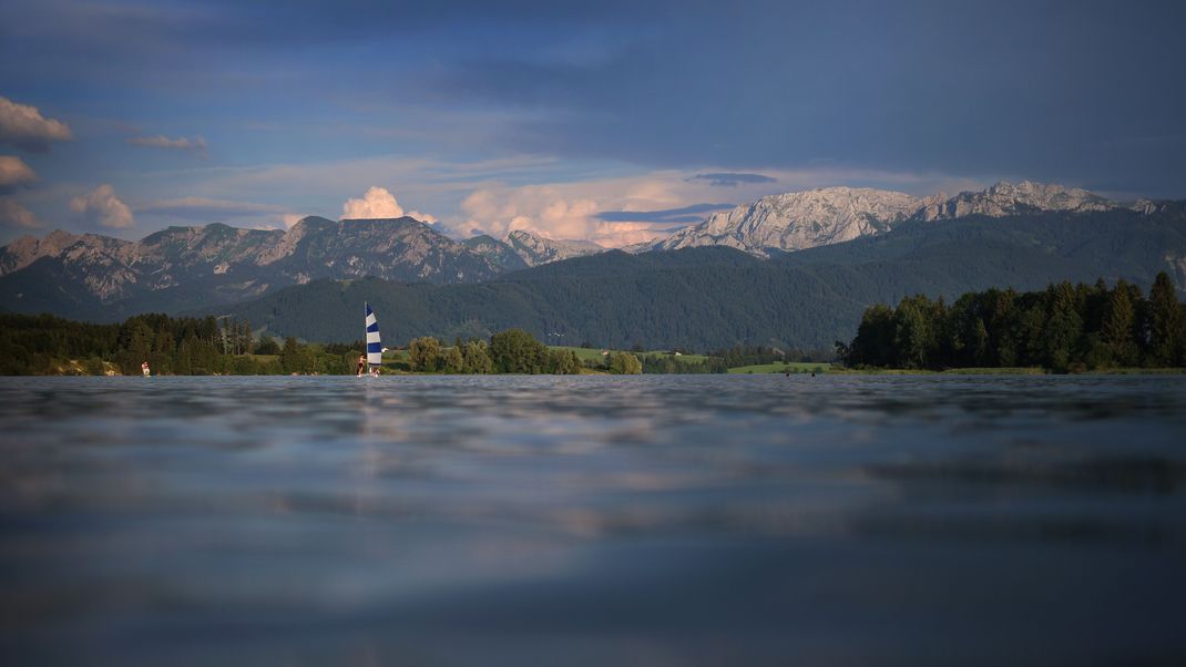 Ein Segelboot gleitet in der Abendsonne über den Forggensee.