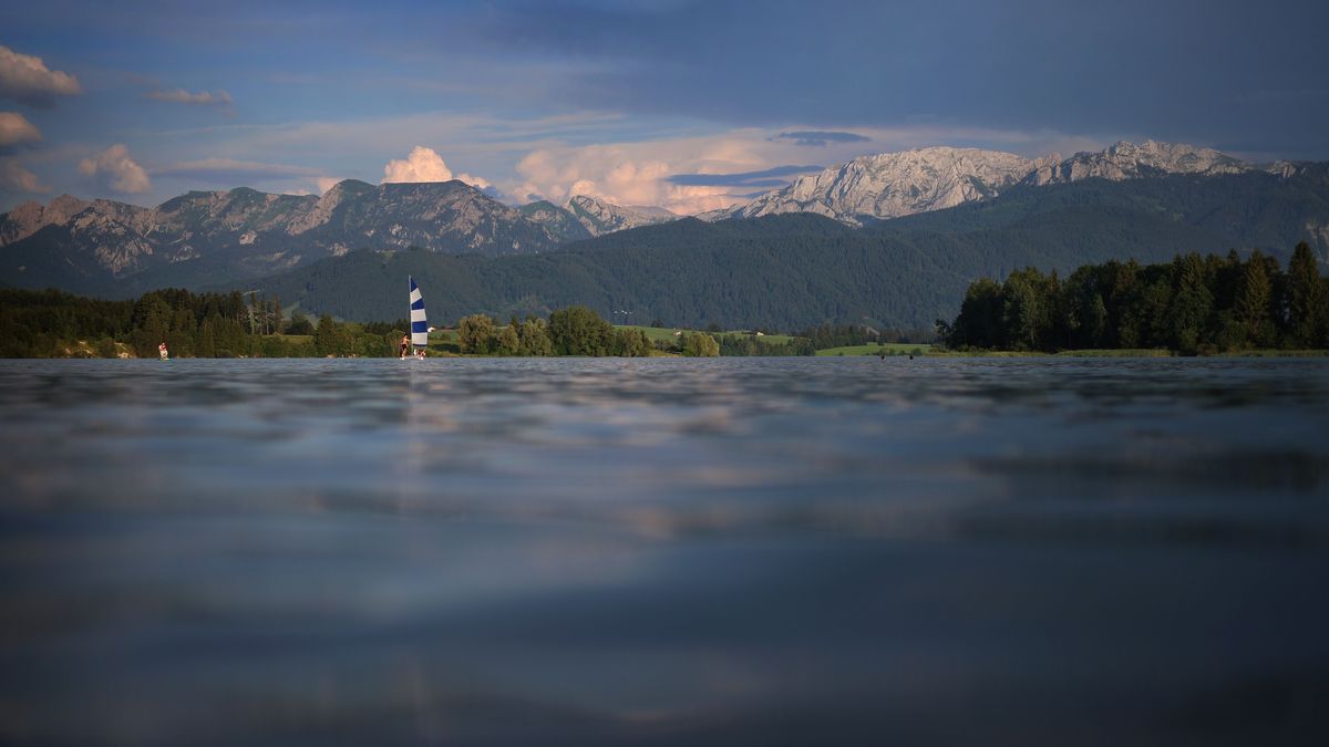 Ein Segelboot gleitet in der Abendsonne über den Forggensee.