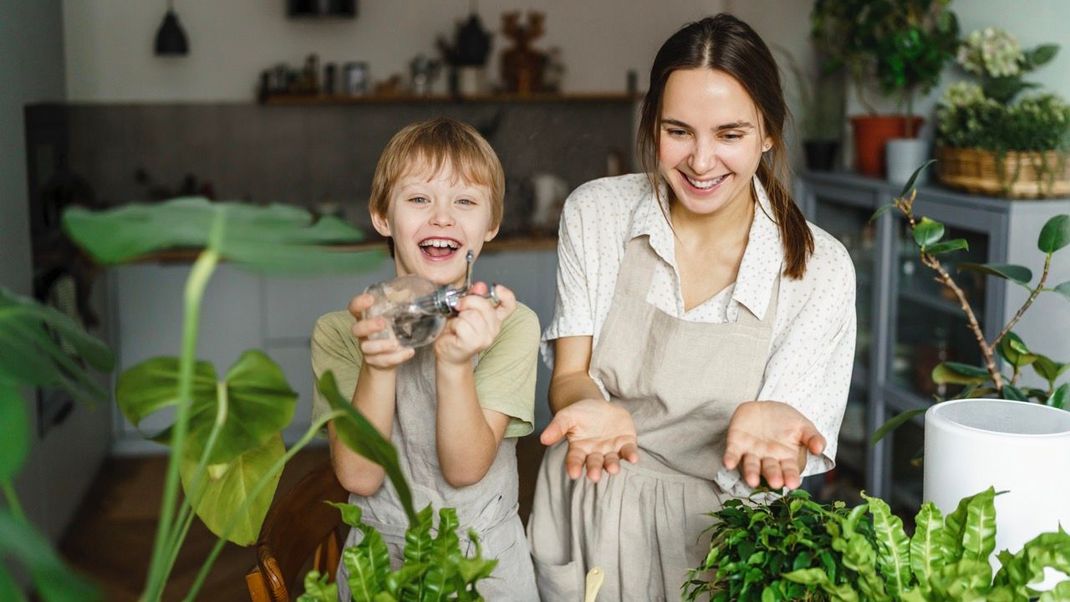 Saubere und gesunde Pflanzen: Warum es wichtig ist, die Blumenerde zu sterilisieren und wie du das am einfachsten machst.