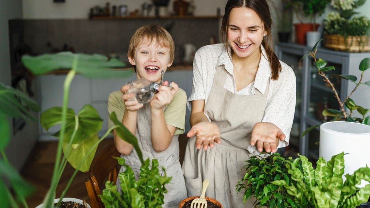 Blumenerde sterilisieren: in diesen Fällen ist es wichtig