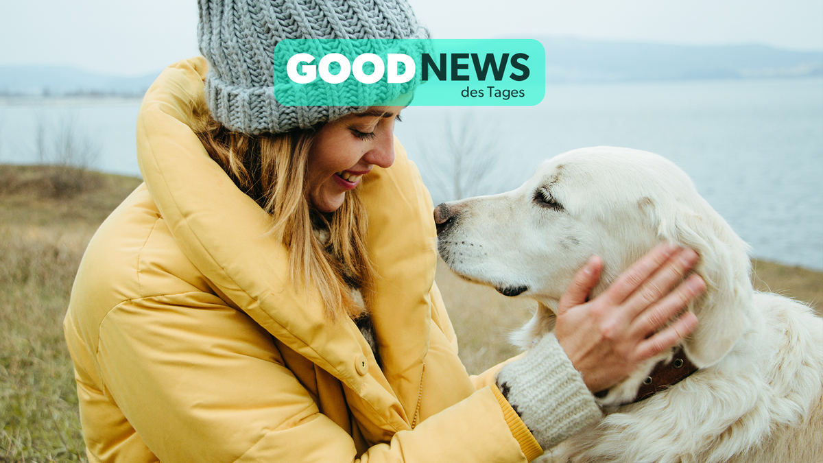 Good News des Tages: Haustiere fördern die Gesundheit