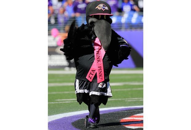 
                <strong>Baltimore Ravens - Atlanta Falcons 29:7</strong><br>
                Das Maskottchen dazu noch Eleganz.
              