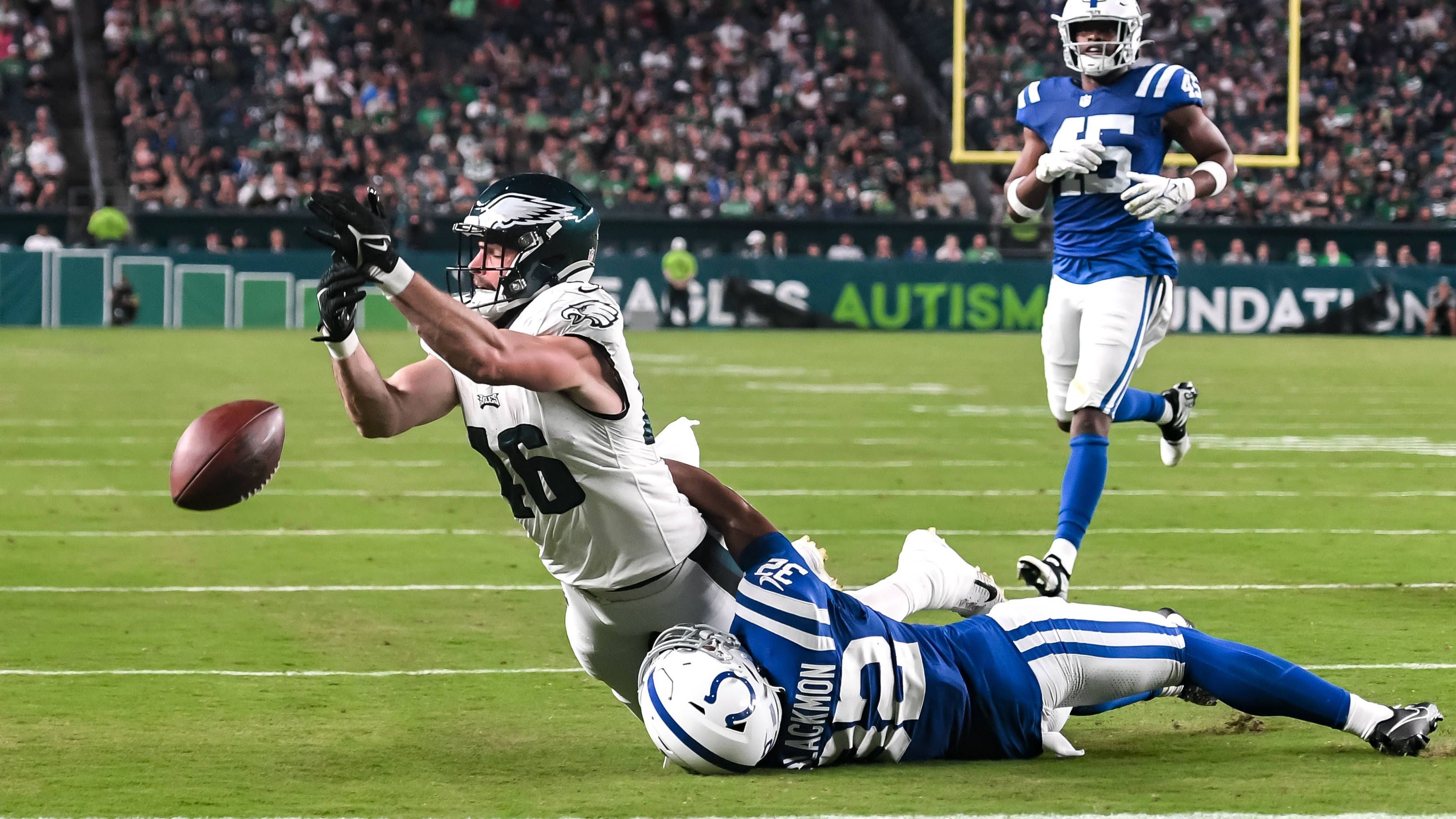 <strong>Philadelphia Eagles: Natürlicher Rasen</strong><br>Im Lincoln Financial Field wird auf "Bermuda Grass" gespielt.