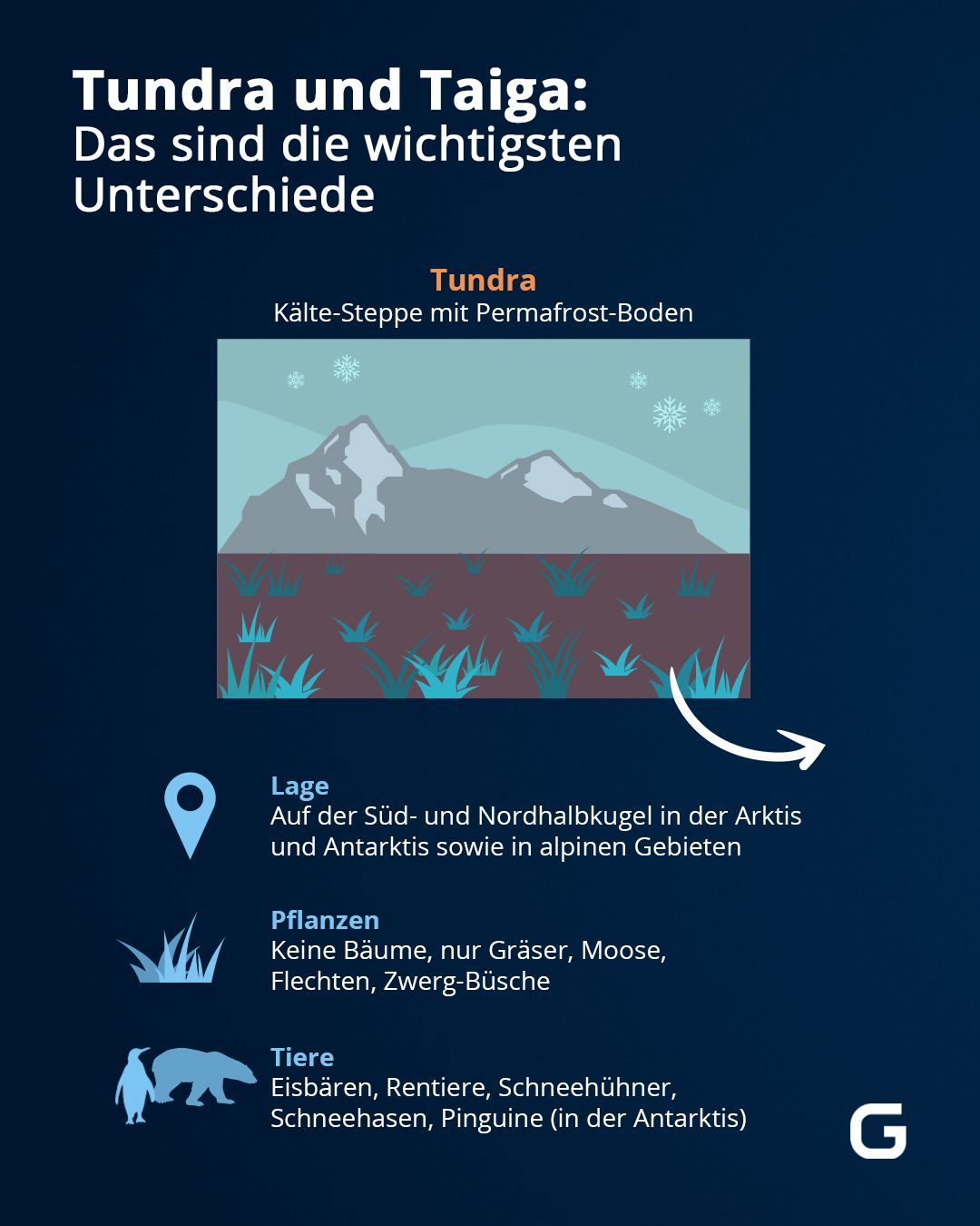 Die Grafik zeigt die Merkmale der Tundra