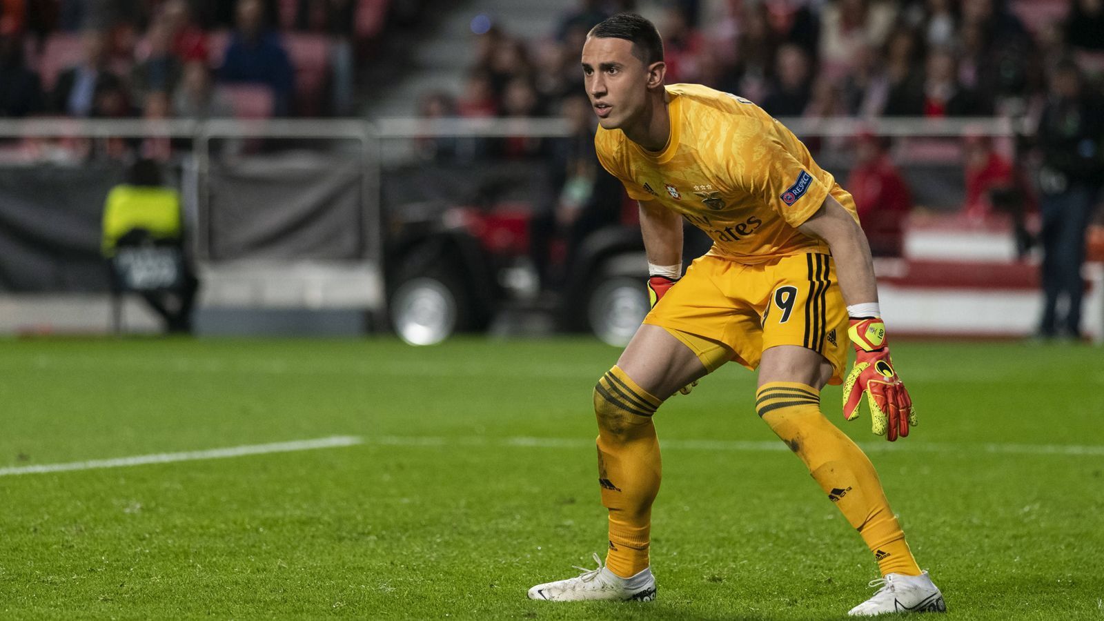 
                <strong>Odysseas Vlachodimos (früher VfB Stuttgart, jetzt Benfica Lissabon)</strong><br>
                Die kurze VfB-Ära von Ex-Torhüter-Talent Odysseas Vlachodimos war nach drei Spielen und acht Gegentoren rasch beendet, heute ist er Nationaltorhüter und bald 60 Millionen Euro teuer? Der gebürtige Stuttgarter Vlachodimos hoffte im Herbst 2015 unter Coach Alexander Zorniger auf den Durchbruch bei den Schwaben, doch nach drei Bundesliga-Einsätzen wurde das Eigengewächs unter Zorniger-Nachfolger Jürgen Kramny komplett aussortiert. Anfang 2016 verließ der 1,91-Meter-Hüne seine Geburtsstadt deshalb und der Deutsch-Grieche wechselte nach Athen zu Panathinaikos. Dort entwickelte sich der frühere deutsche U-Nationalspieler nicht nur zum Leistungsträger, sondern machte Benfica Lissabon auf sich aufmerksam. Im Sommer 2018 folgte der Schritt nach Portugal, wo er einen Vertrag bis 2023 hat und zudem Griechenlands Nummer 1 wurde. Zuletzt wurde spekuliert, dass Newcastle United Interesse am 26-Jährigen haben könnte, der garantiert kein Schnäppchen wäre. Die Ausstiegsklausel im Kontrakt von Vlachodimos soll bei 60 Millionen Euro liegen. Vlachodimos setzt bei Benfica übrigens eine große Torhüter-Tradition fort, seine unmittelbaren Vorgänger als Stammkeeper der Portugiesen waren immerhin Jan Oblak (heute Atletico Madrid) und Ederson (heute Manchester City). 
              