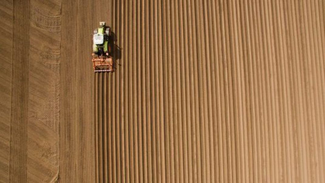 Bisher erhielten Landwirt:innen Steuerentlastungen für Agrardiesel und KfZ-Steuer. Damit ist jetzt Schluss.