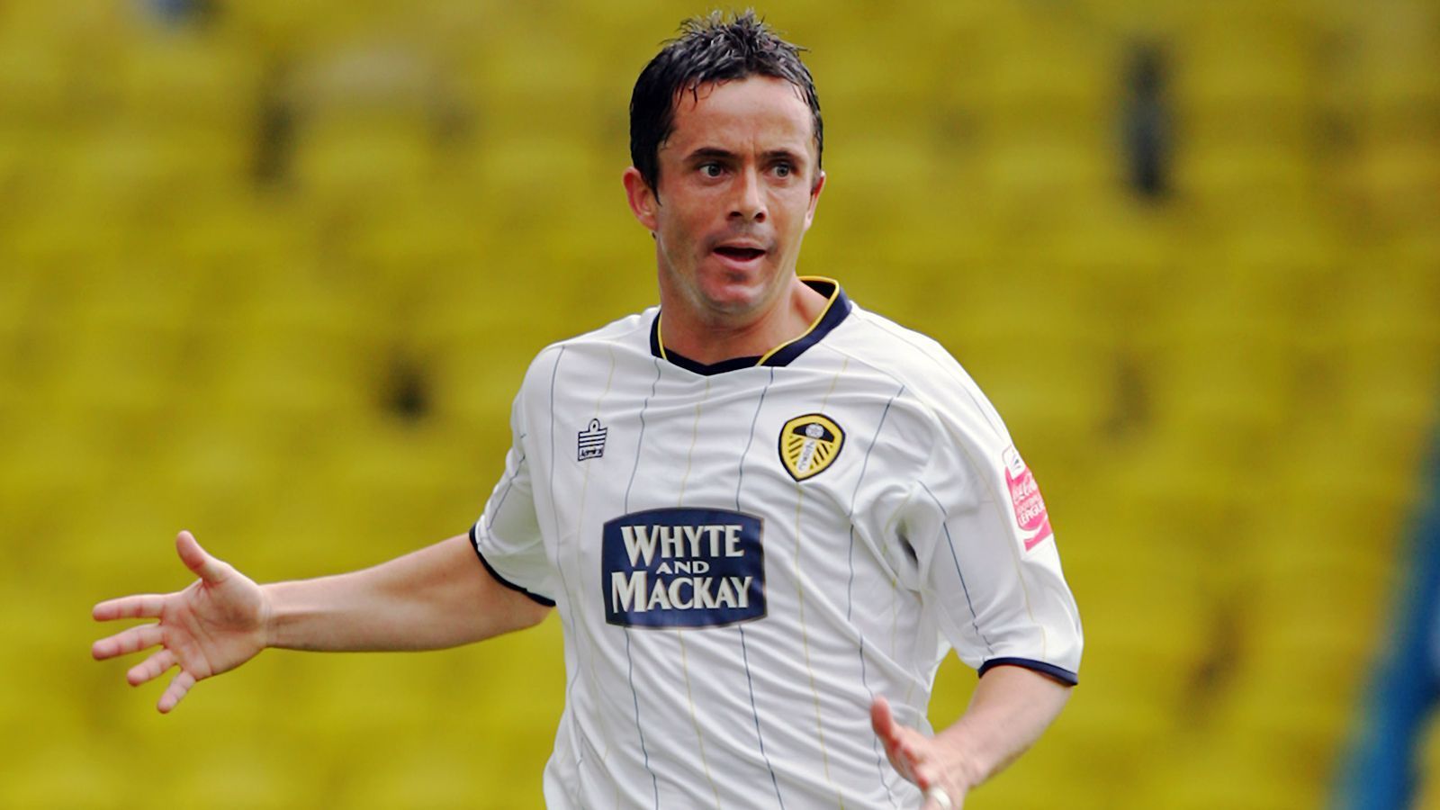 
                <strong>Leeds United</strong><br>
                Premier-League-Rekordspieler des Klubs: Gary Kelly - Premier-League-Einsätze: 325
              