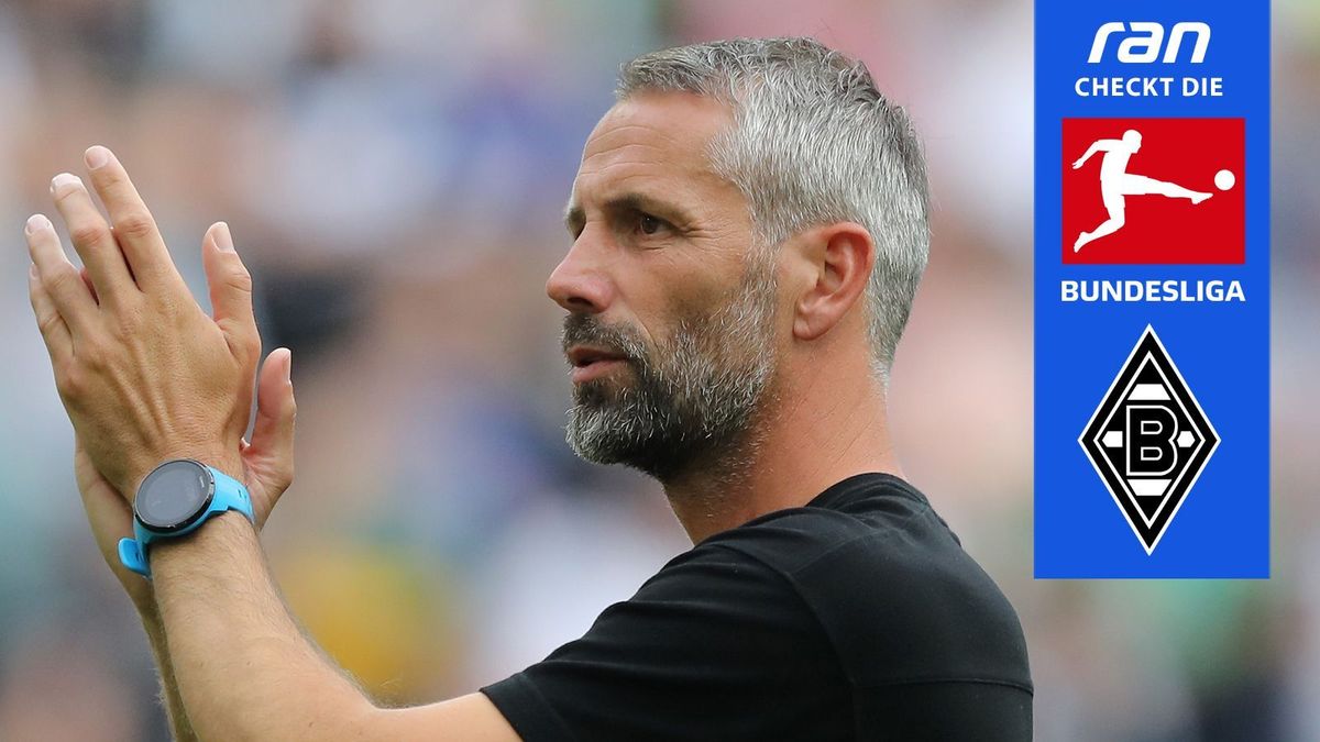 Borussia Mönchengladbach im ran-Check
