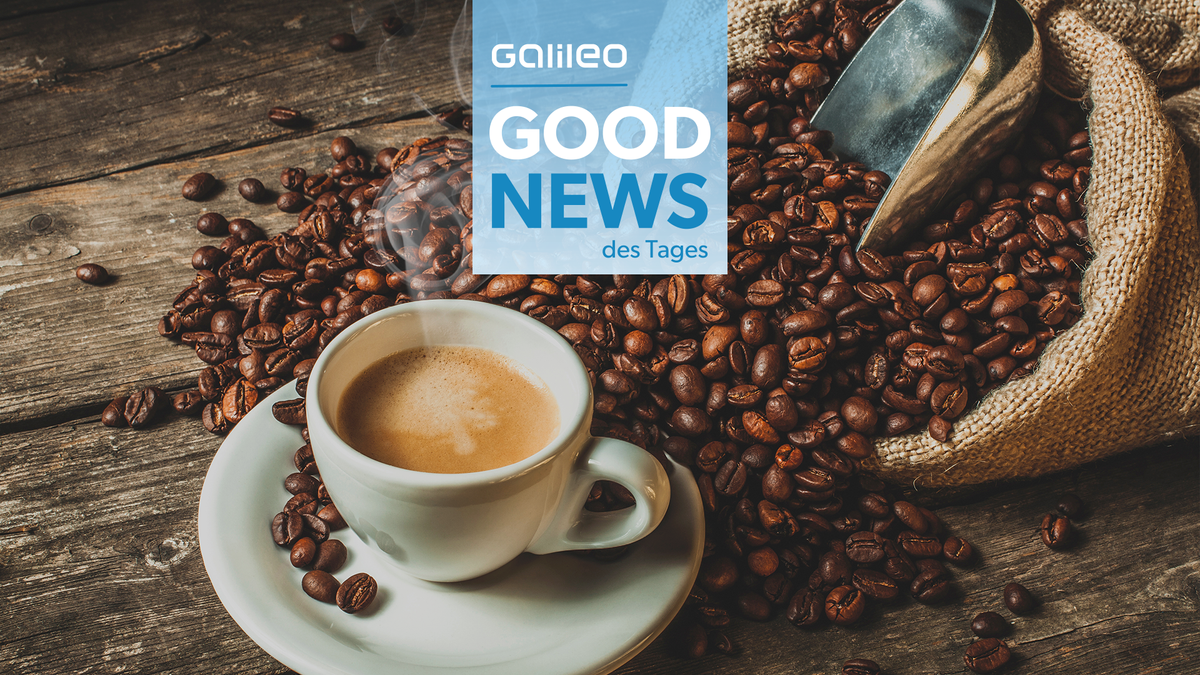 Good News des Tages: Kaffee könnte gegen Demenz helfen