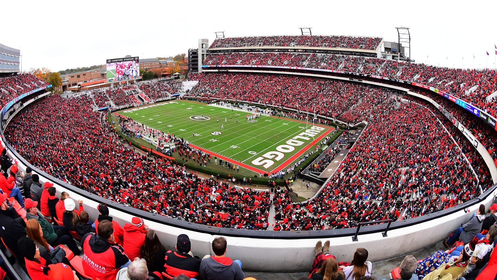 
                <strong>Hecken im Stadion?</strong><br>
                Berühmt ist das legendäre Sanford-Stadium der Georgia Bulldogs für seine Hecken. Hecken?! Zwischen den Rängen und dem Spielfeld finden sich sauber geschorene Zierhecken. Die "Hallowed-Hedges" gehen der Legende nach auf den ehemaligen Buisness-Manager der UGA Charlie Martin zurück. 1926 ließ er sich von den Rosenhecken im Stadion des Rosebowl in Kalifornien inspirieren. Als er jedoch zurück nach Georgia kam, stellte er fest, dass sich Rosen im harschen Klima Georgias nicht halten würden. So entschied man sich, stattdessen Liguster zu pflanzen. In ihrer Geschichte mussten die Hecken immer wieder einmal ihren Platz räumen. So beispielsweise für die Olympischen Spiele 1996, bei der Studenten es als Eklat ansahen, dass die Hecke für Fußballspiele weichen musste.
              