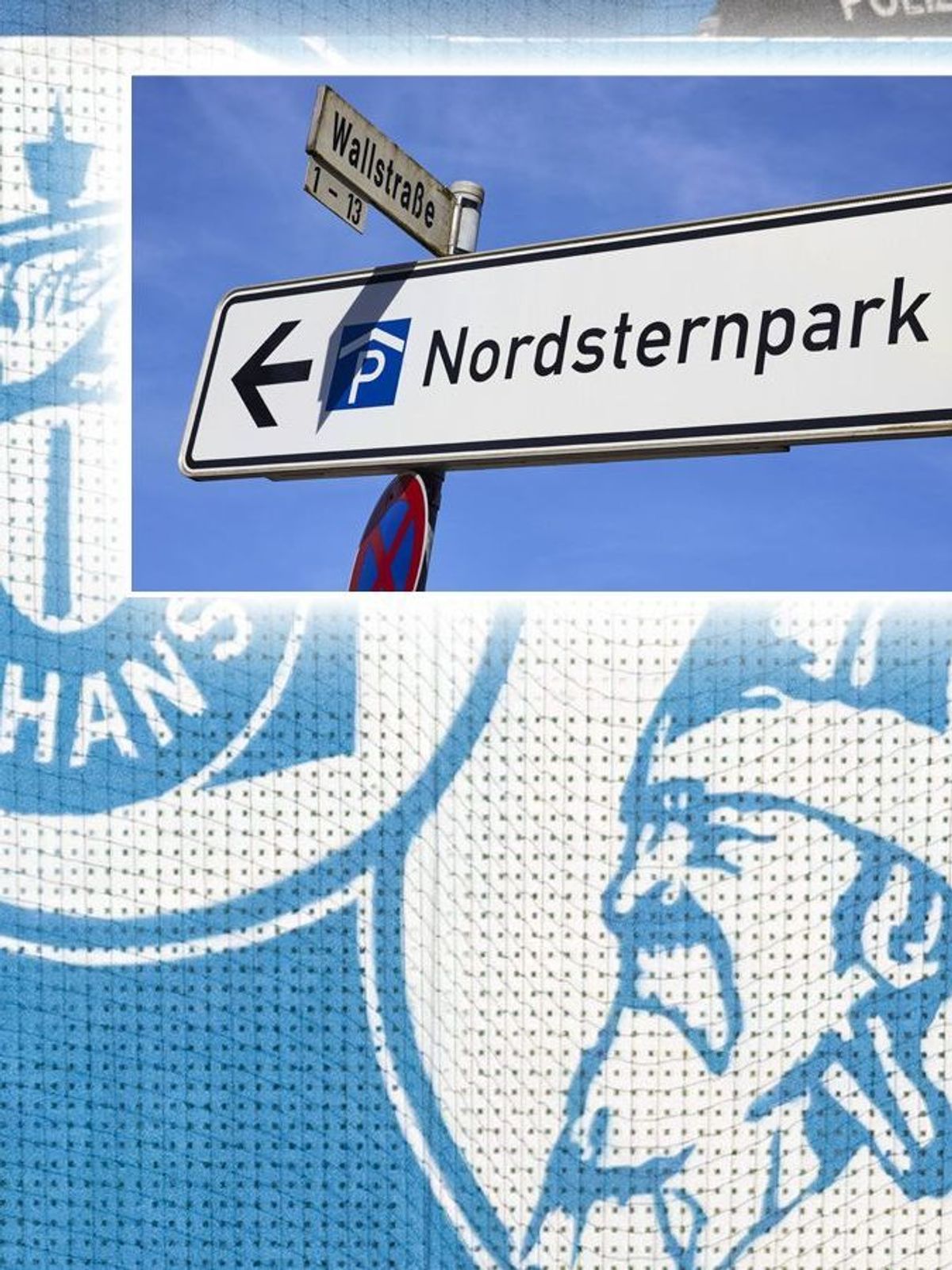 Rostock Schalke Fans Schlägerei Norsternpark