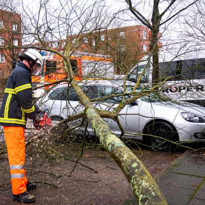 Ein Feuerwehrmann zersägt im Hamburger Stadtteil Neuallermöhe einen Baum, der auf ein Auto gefallen ist. Sturmtief "Zoltan" sorgt für erste Schäden im Norden.