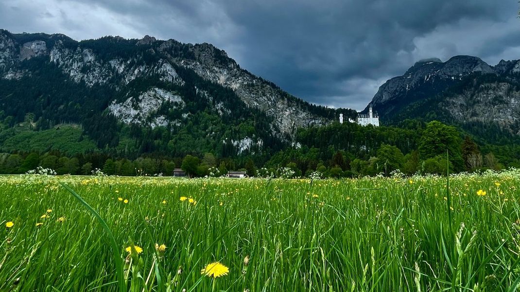 Die Bergsteigerin verunglückte laut Polizei beim Aufstieg zum Tegelberg nahe Schloss Neuschwanstein. (Archivbild)