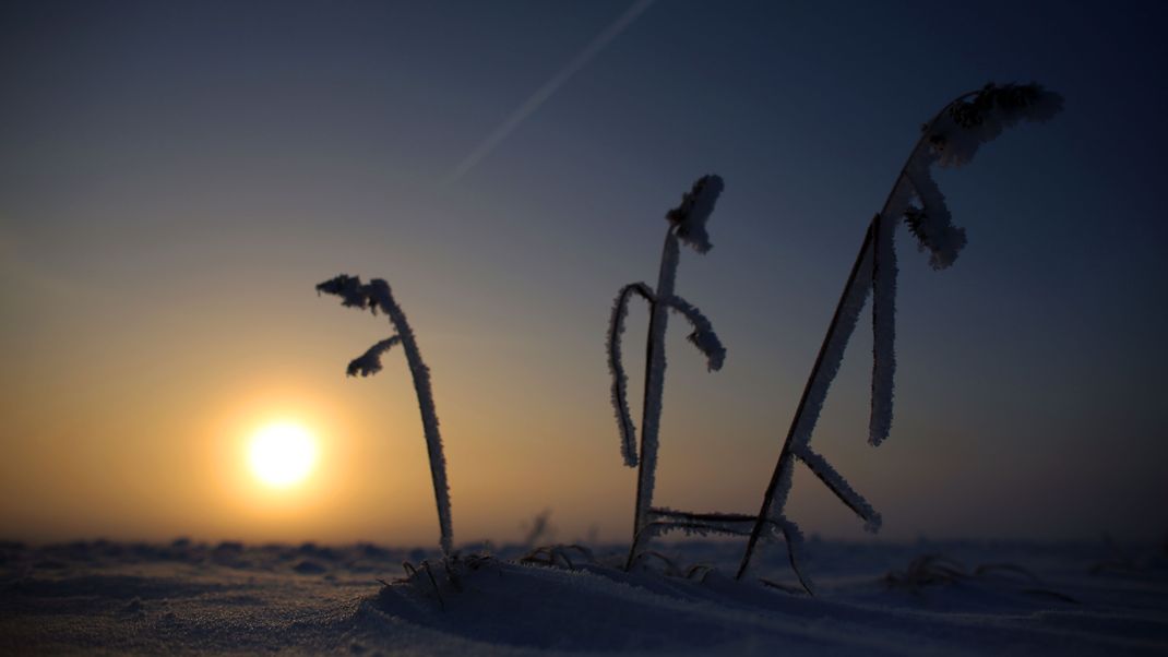 Die Wintersonnenwende bringt wieder längere Tage. 