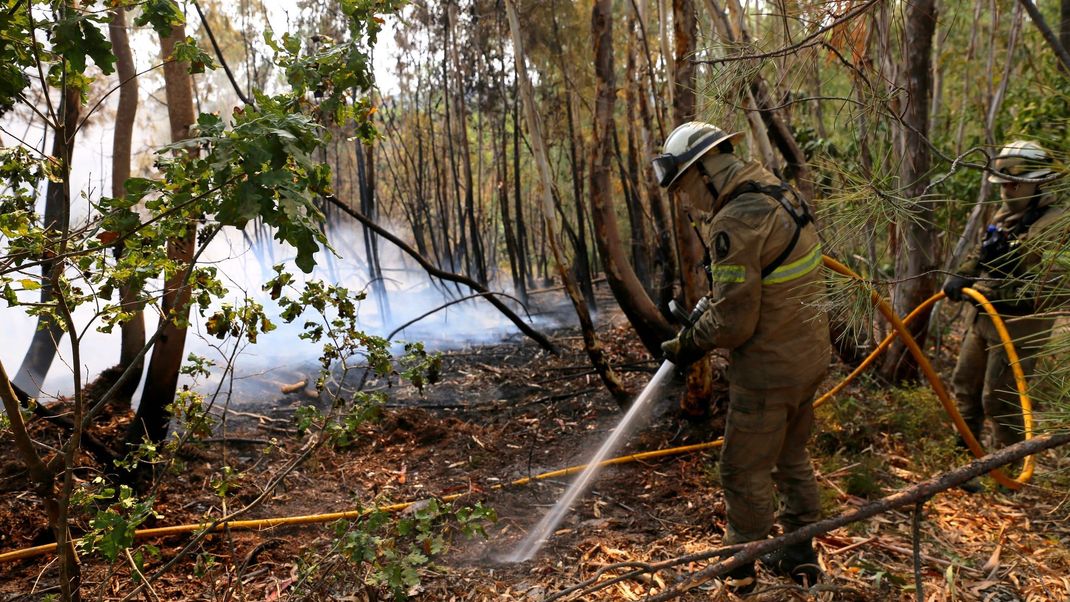 In Portugal verschlingen Flammen zehntausende Hektar an Land.
