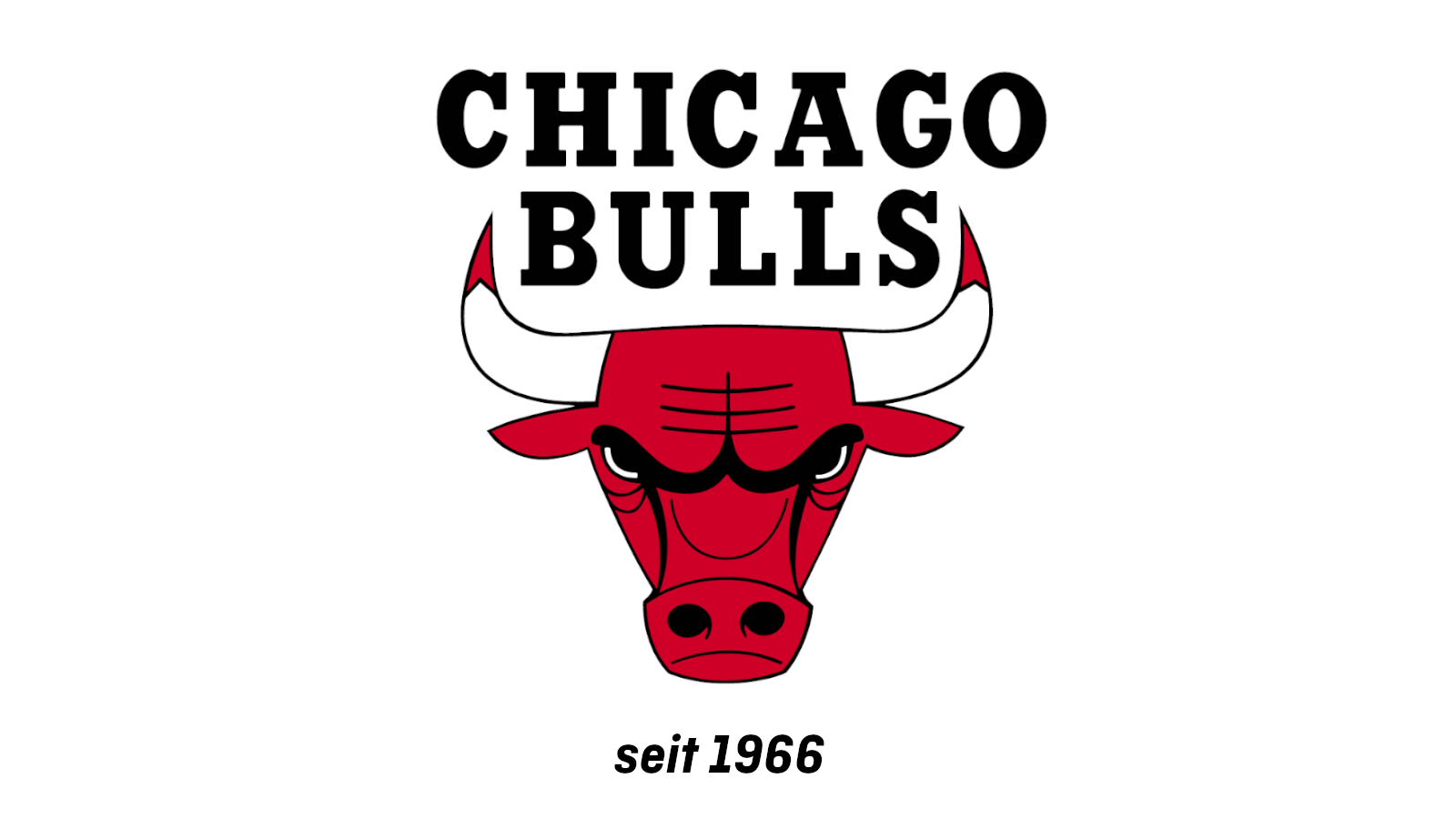 <strong>Chicago Bulls</strong>