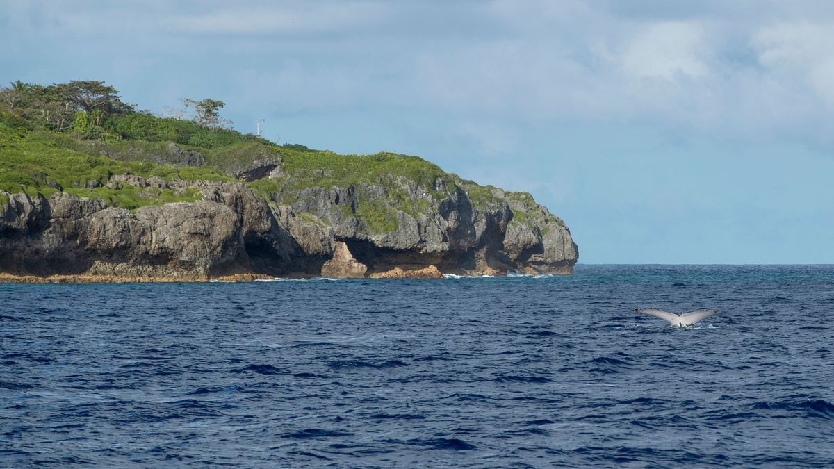 Niue Ocean Sponsorship