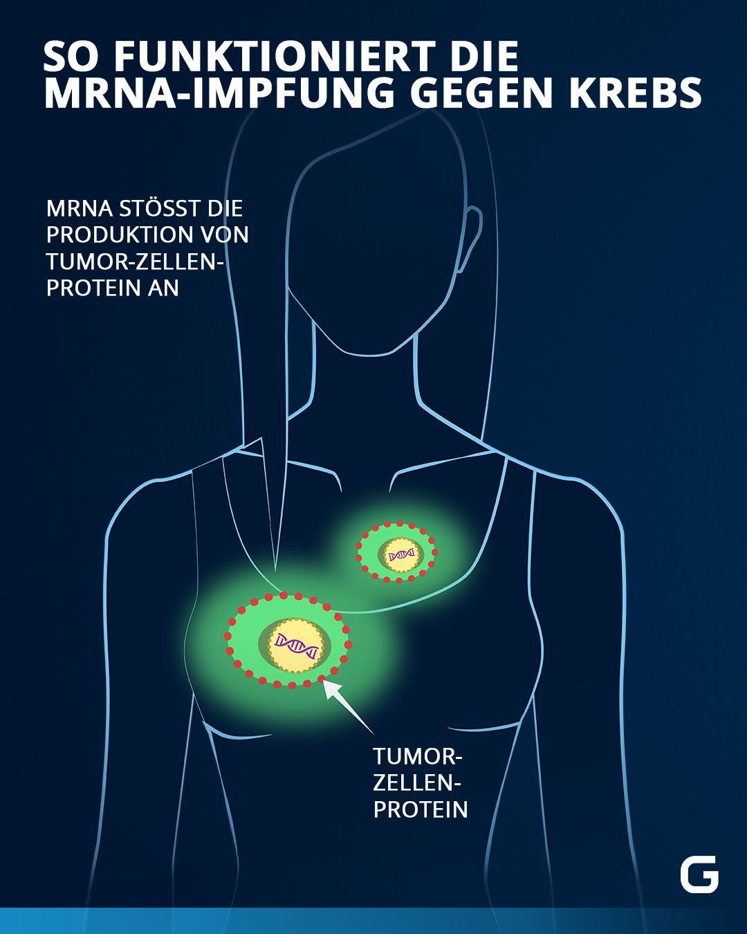 Wir zeigen, wie mRNA-Impfstoffe auch bei Krebspatient:innen wirken können. 