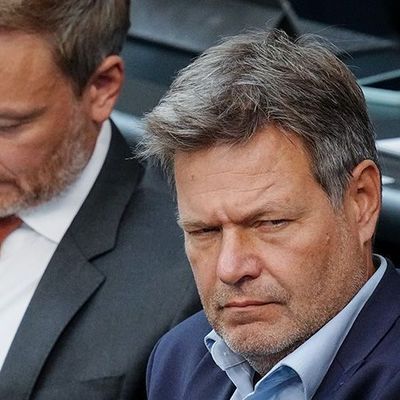 Lindner blockiert Habecks Atomgesetz