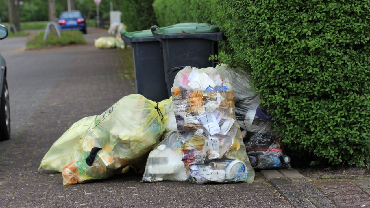 Ein weiterer Beweis, dass Motten Heldentaten vollbringen: Forschende entdeckten, dass die Larven der Großen Wachsmotte dank einem bestimmten Enzym Plastik fressen und abbauen können. In Zukunft könnte sie bei der Bekämpfung von Umweltproblemen helfen.