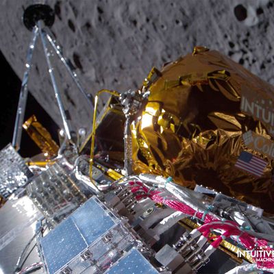 Der Lander mit dem Spitznamen "Odysseus" hat Aluminium-Beine, wiegt rund 700 Kilogramm und kann etwa 130 Kilogramm Ladung mitnehmen.