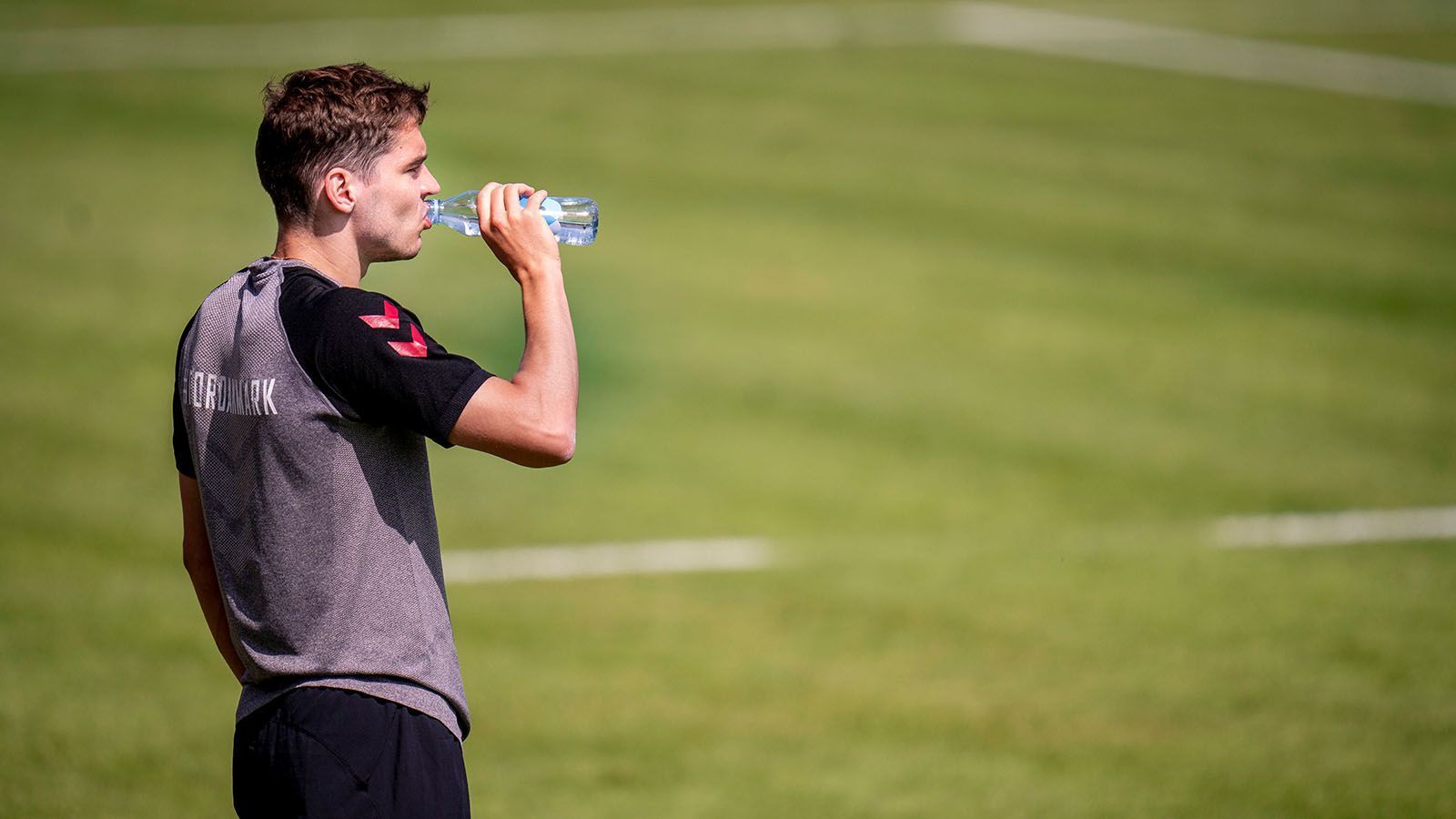 
                <strong>TSG Hoffenheim (2 Spieler)</strong><br>
                Mit Robert Skov (Bild,Dänemark) und Pavel Kaderabek (Tschechien) wird die TSG auch im Halbfinale der EM einen Spieler dabei haben, da beide im EM-Viertelfinale mit ihren Nationalmannschaften aufeinander treffen. 
              